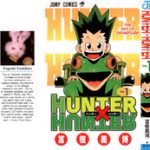 Hunter x Hunter (ハンター×ハンター) v1-34 (ONGOING)